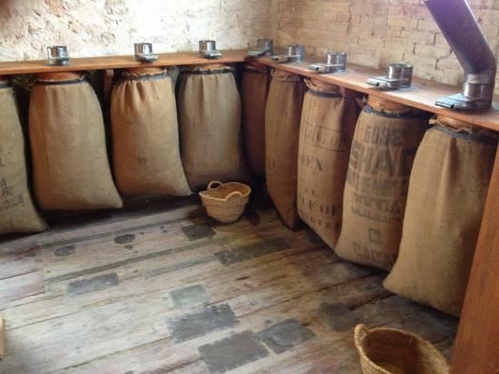 Museo del riso Museo del Arroz